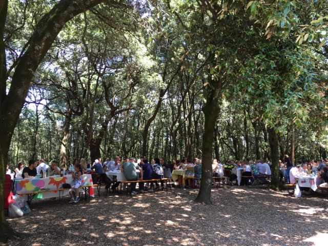 PER IL SUO 13° ANNIVERSARIO INSIEME AI RAGAZZI AUTISTICI NEL BOSCO SACRO DEL ‘PAGO’.