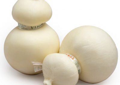 BURRINI