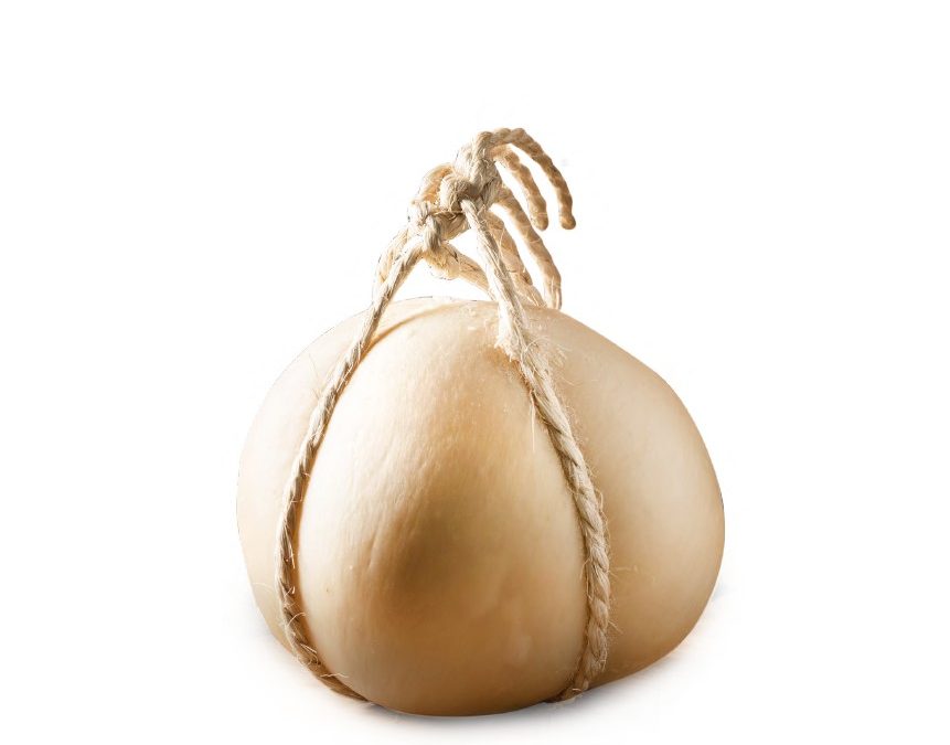 CACIOCCHIO MATESE