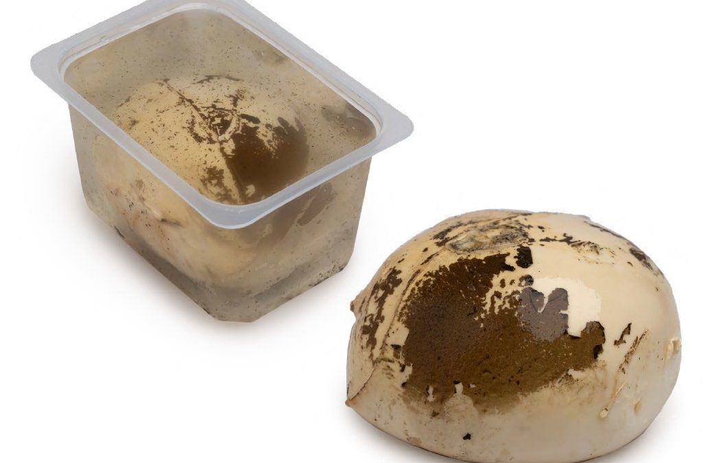 PROVOLA FRESCA AFFUMICATA